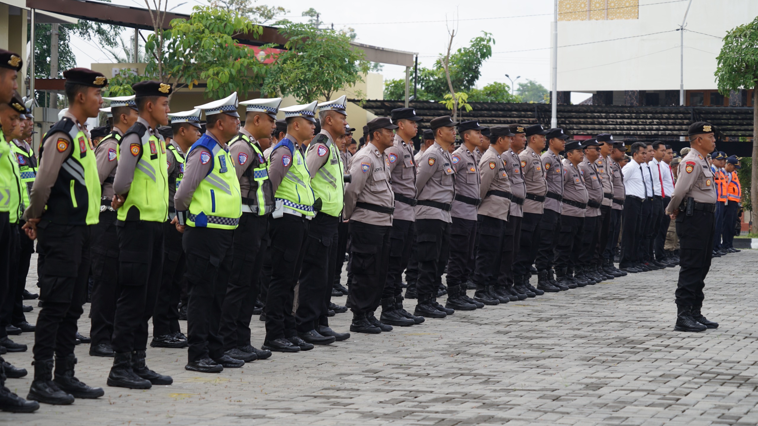 WhatsApp Image 2025-12-31 at 08.53.24